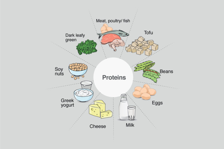 Nutrition and wound healing