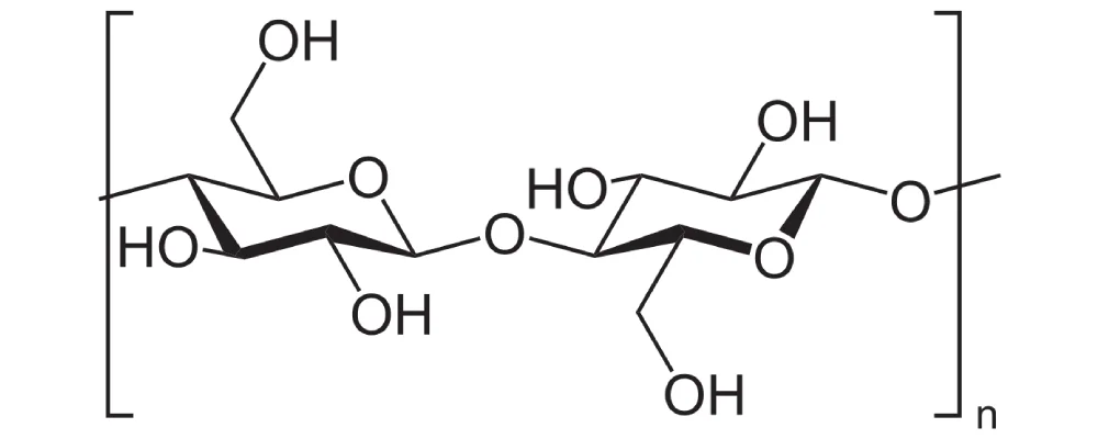 Chitosan | Chitosan Haemostatic Dressing | Chitosan Gauze