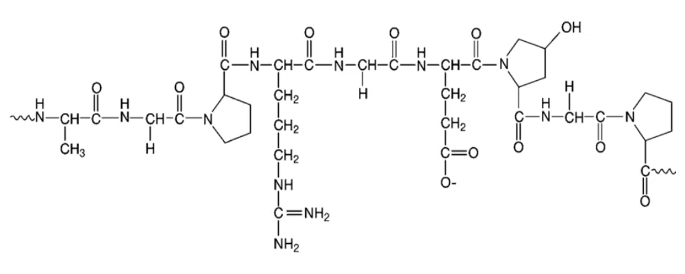 Chitosan | Chitosan Haemostatic Dressing | Chitosan Gauze