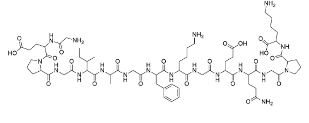 Chitosan | Chitosan Haemostatic Dressing | Chitosan Gauze