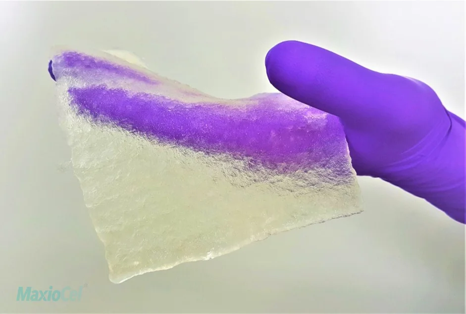 Wound Care Dressing - Maxiocel