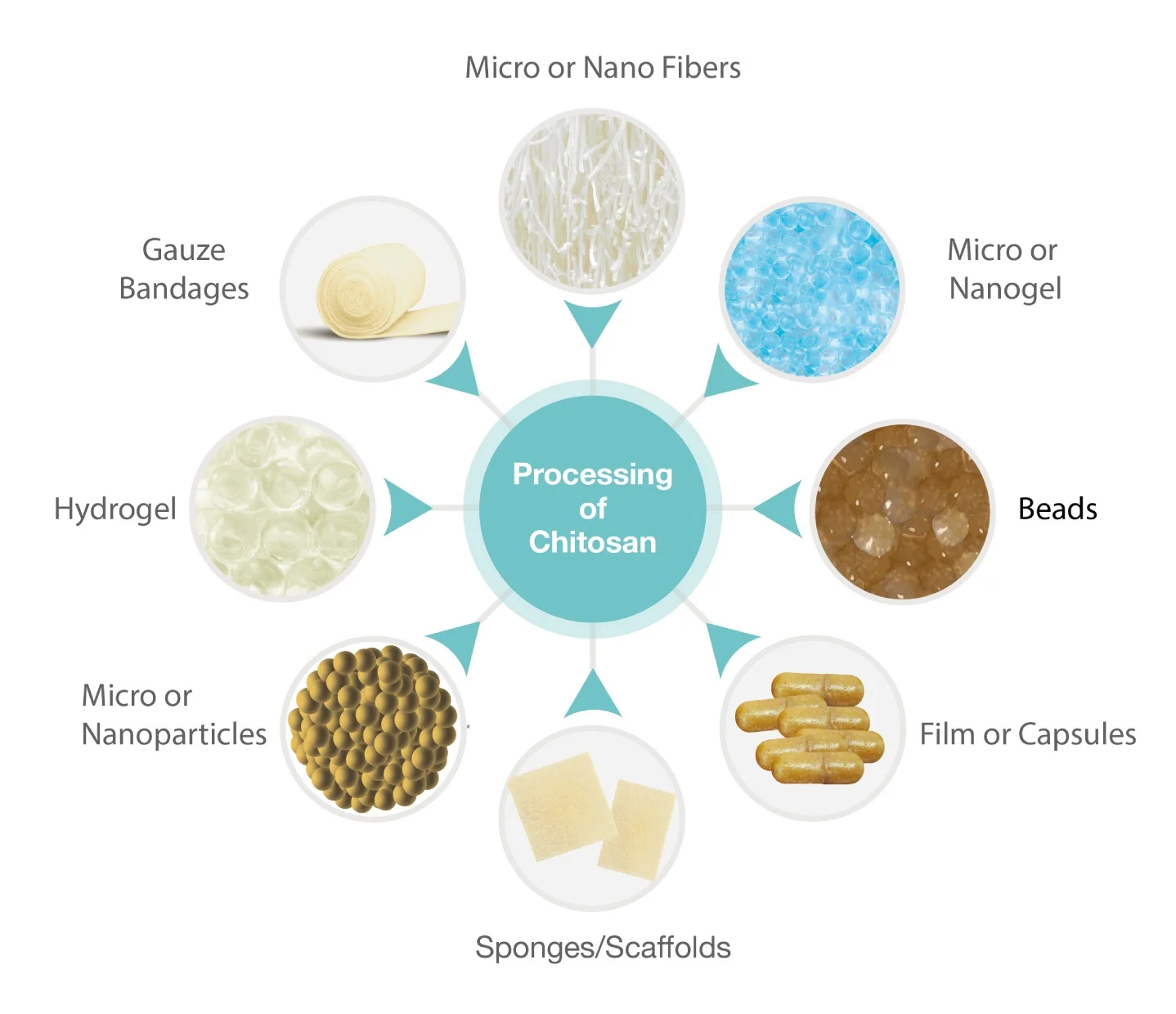 Chitosan | Chitosan Haemostatic Dressing | Chitosan Gauze