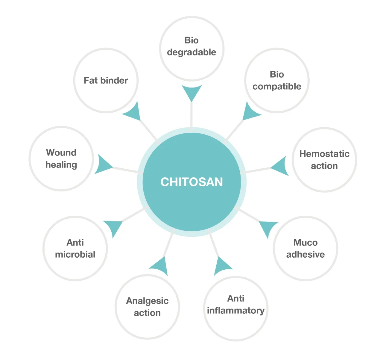 Chitosan | Chitosan Haemostatic Dressing | Chitosan Gauze