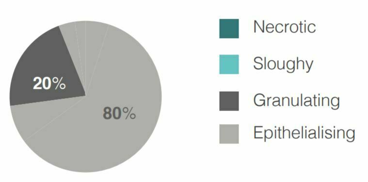 SKIN GRAFT DONOR SITE