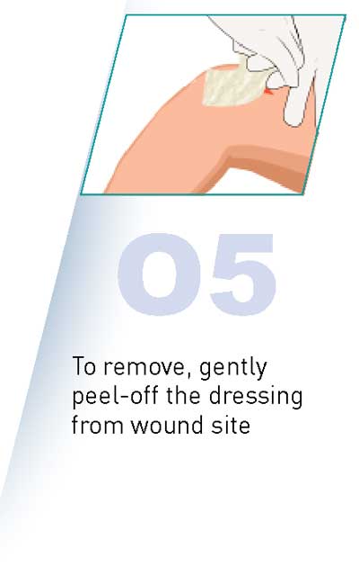 Surgical Site Dressing | Axiobio