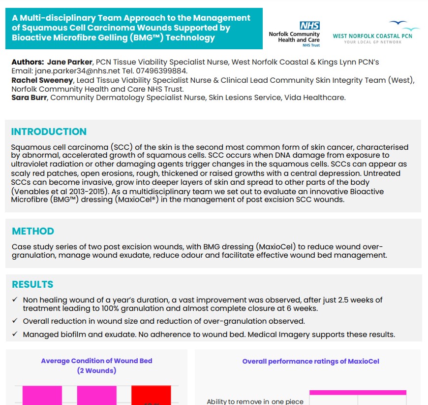 Characterization of a Bioactive Chitosan Dressing: