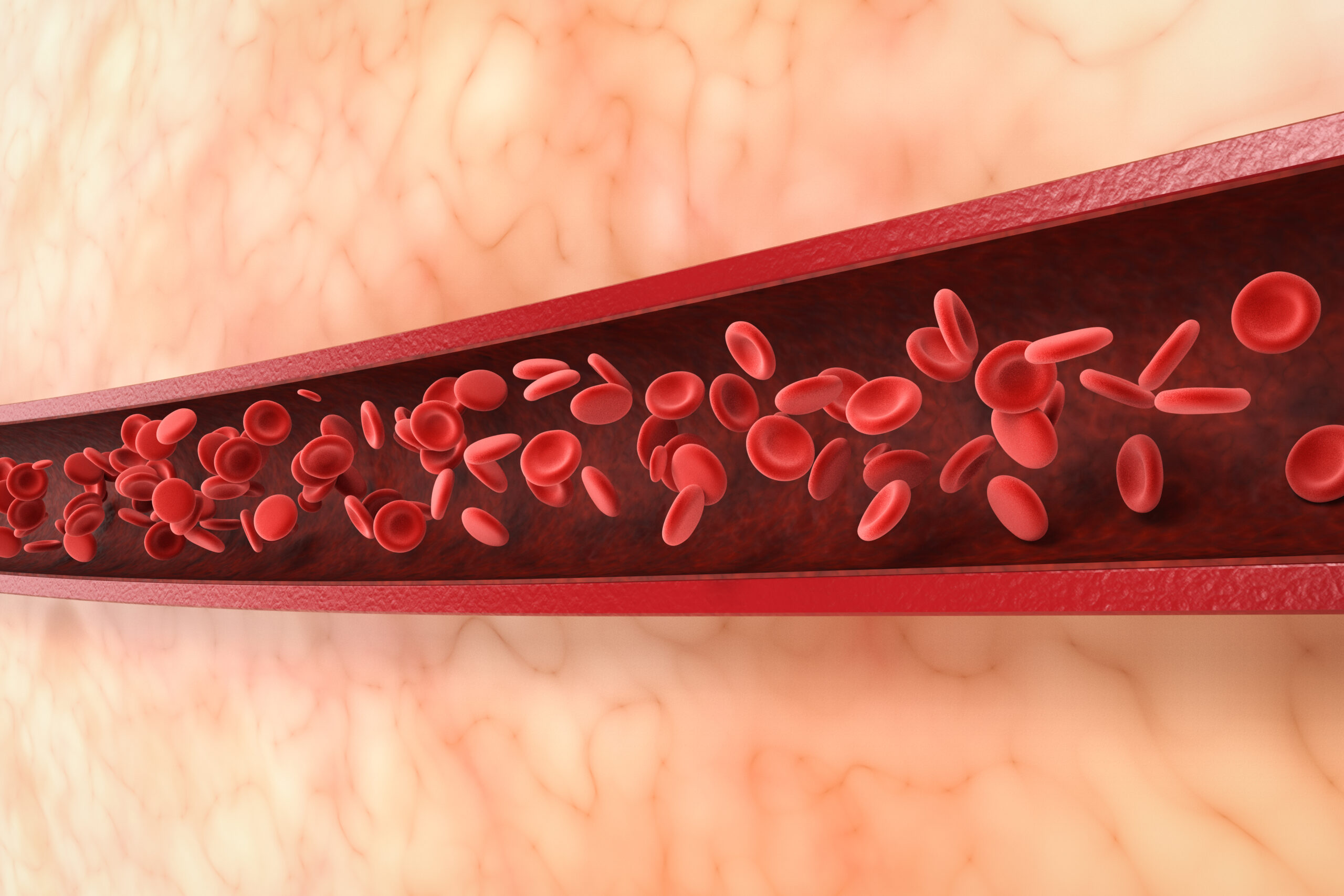 red blood cells in vein Haemostat